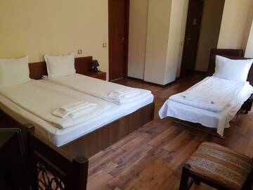 Фото номера Трехместный номер с видом на горы Отель Hotel Fedora г. Рибарица 7